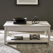 Lake House Lift Top Cocktail Table image